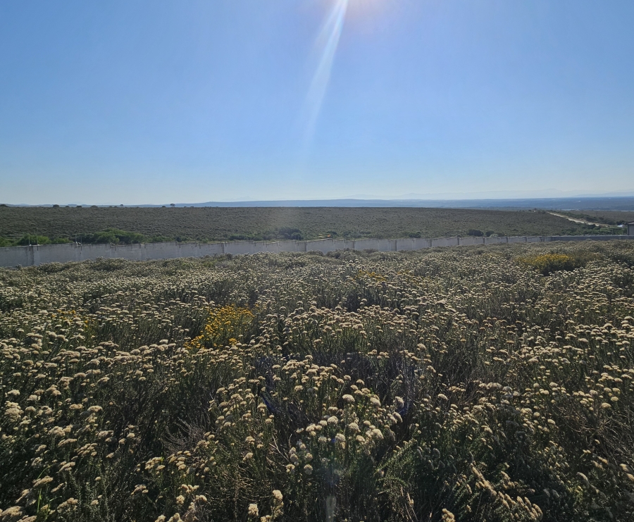 0 Bedroom Property for Sale in Blue Waters Estate Eastern Cape